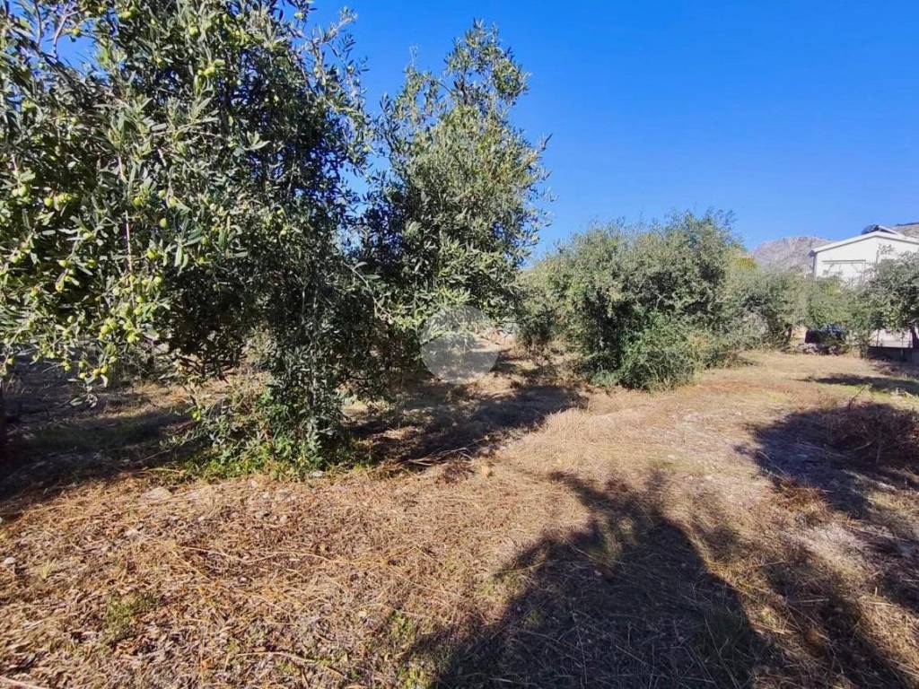 Terreno a Carini in VIALE LIBECCIO - Foto 3