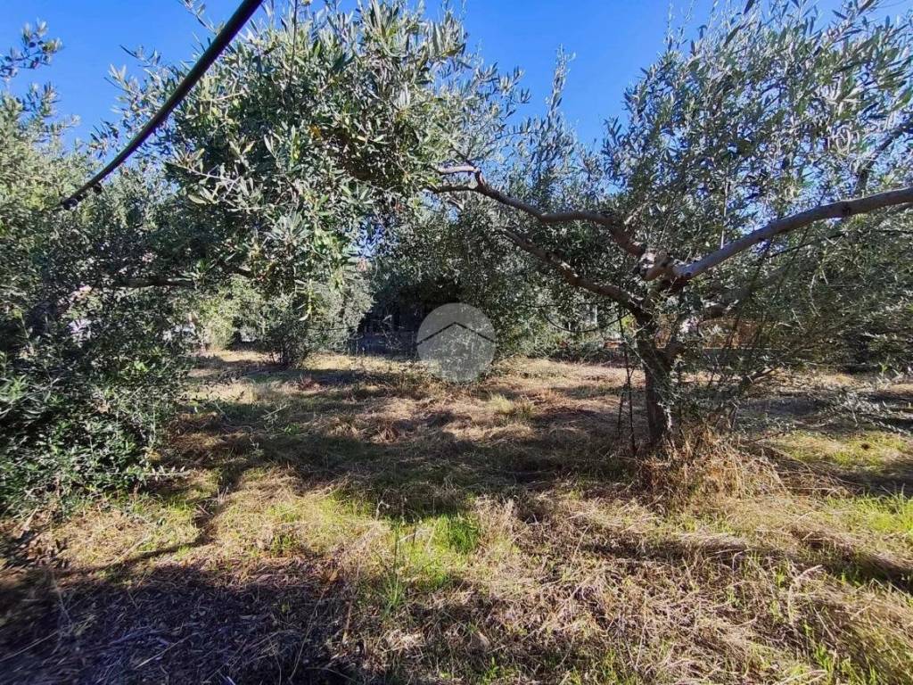 Terreno a Carini in VIALE LIBECCIO - Foto 4