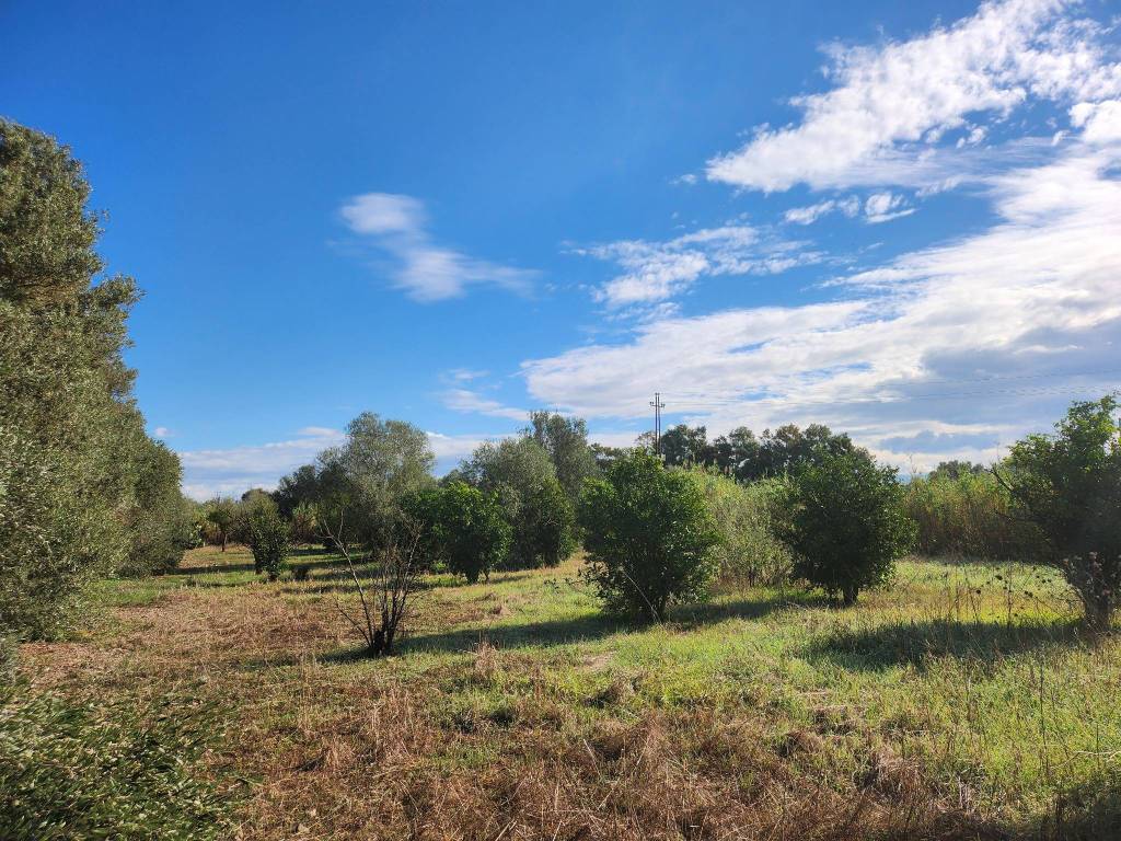 Terreno a San sperate - Foto 2