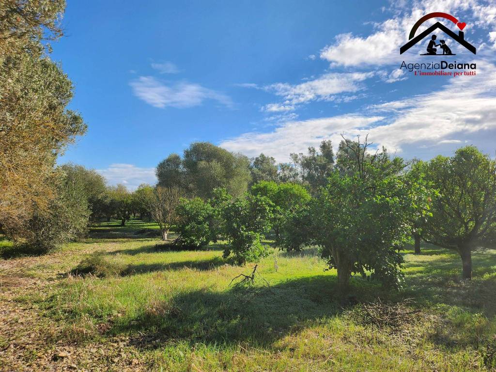 Terreno a San sperate - Foto 3