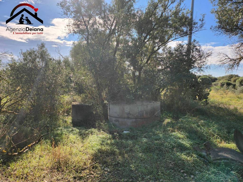 Terreno a San sperate - Foto 4