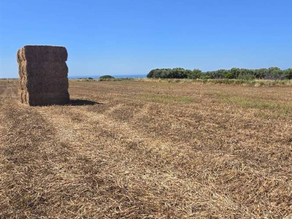 Terreno a Tarquinia - Foto 2