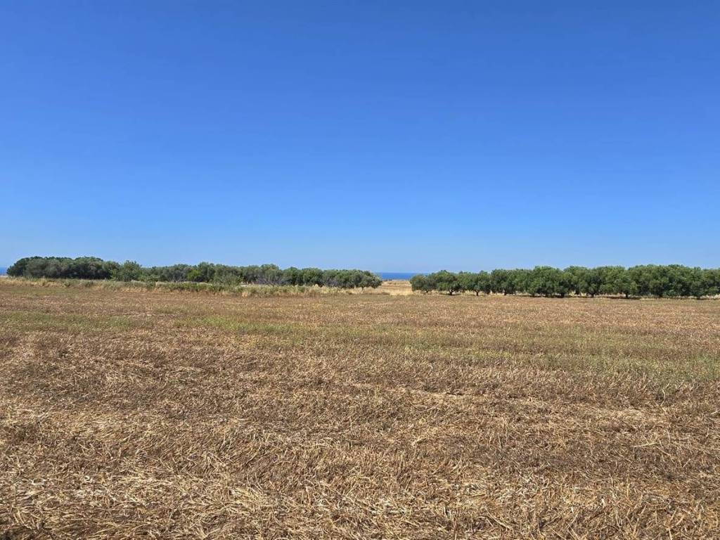 Terreno a Tarquinia - Foto 3