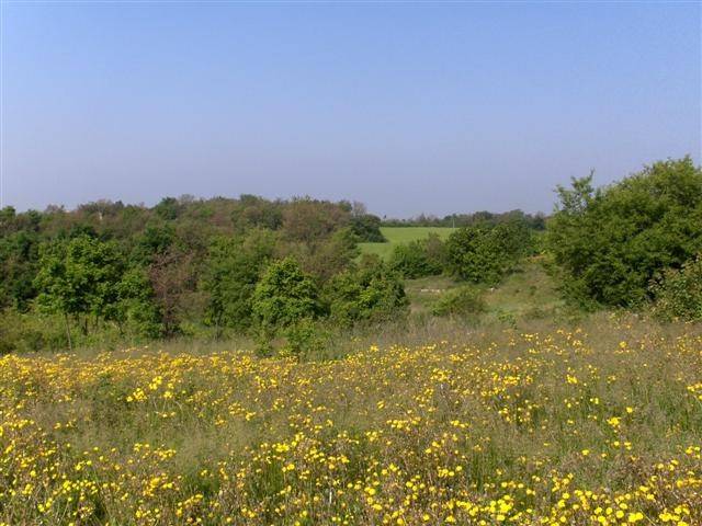 Immobile a Lonigo - Foto 2