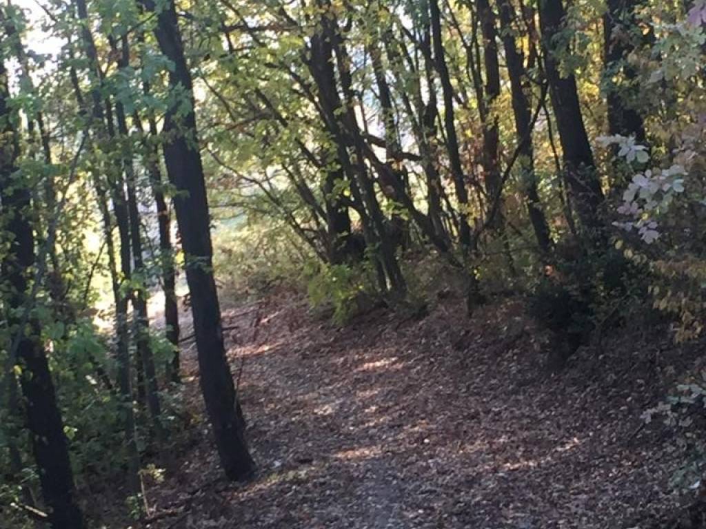 Rustico / casale a Marano sul panaro in Via Fondovalle - Foto 5