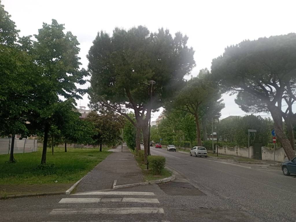 Appartamento a Giulianova in Via Giuseppe Verdi - Foto 3