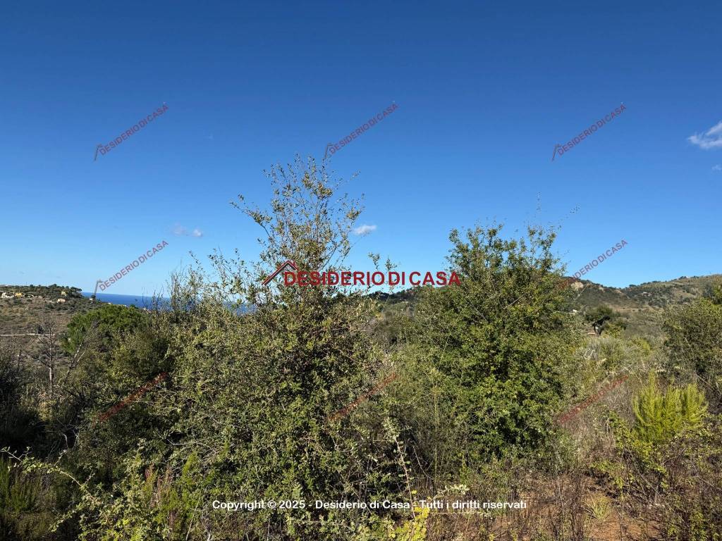 Terreno a Gratteri in Contrada Rapputi - Foto 4