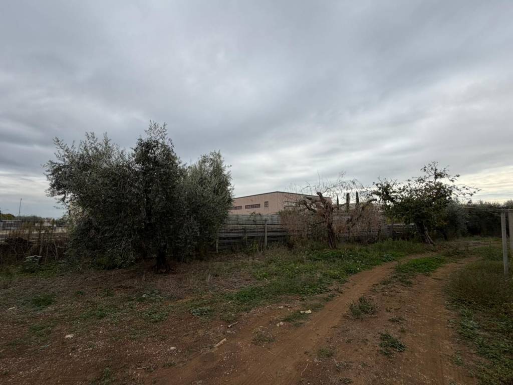 Terreno a Cisterna di latina in Via della Quaglia - Foto 3