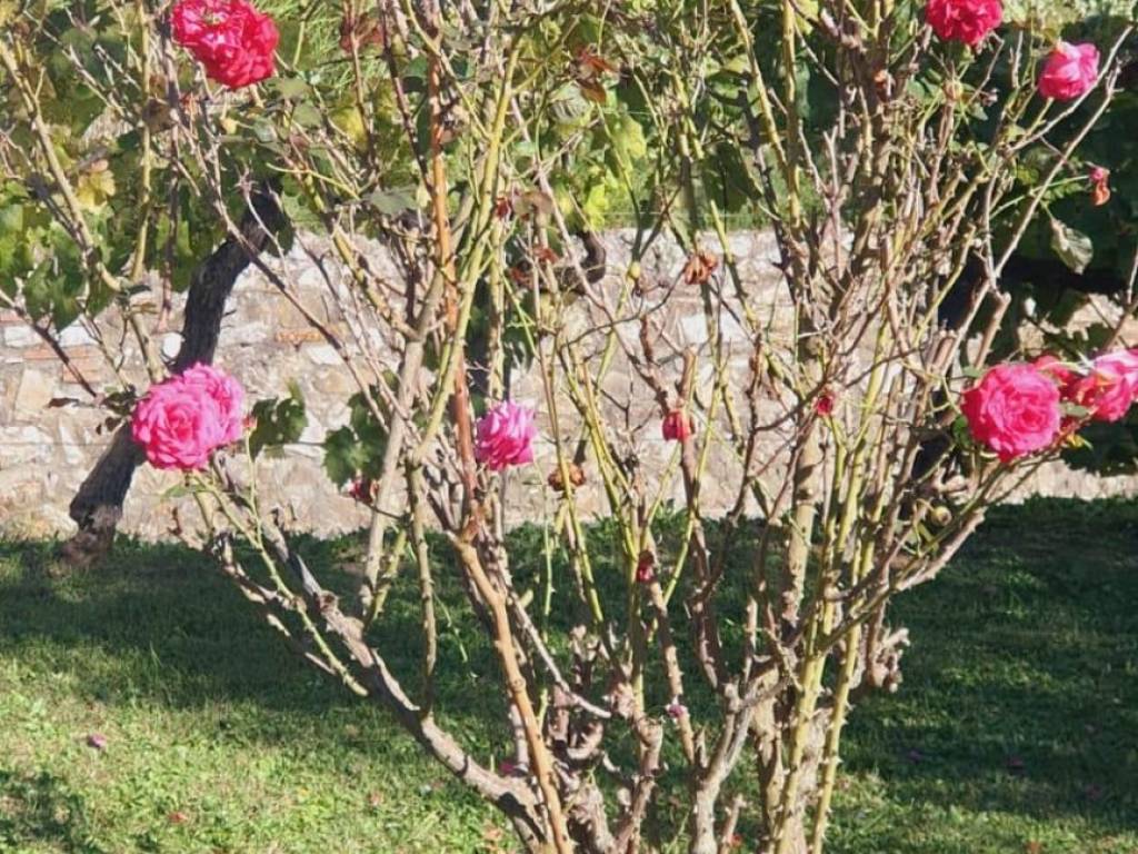 Villa a Capannori in Via di Belvedere, 31 - Foto 3
