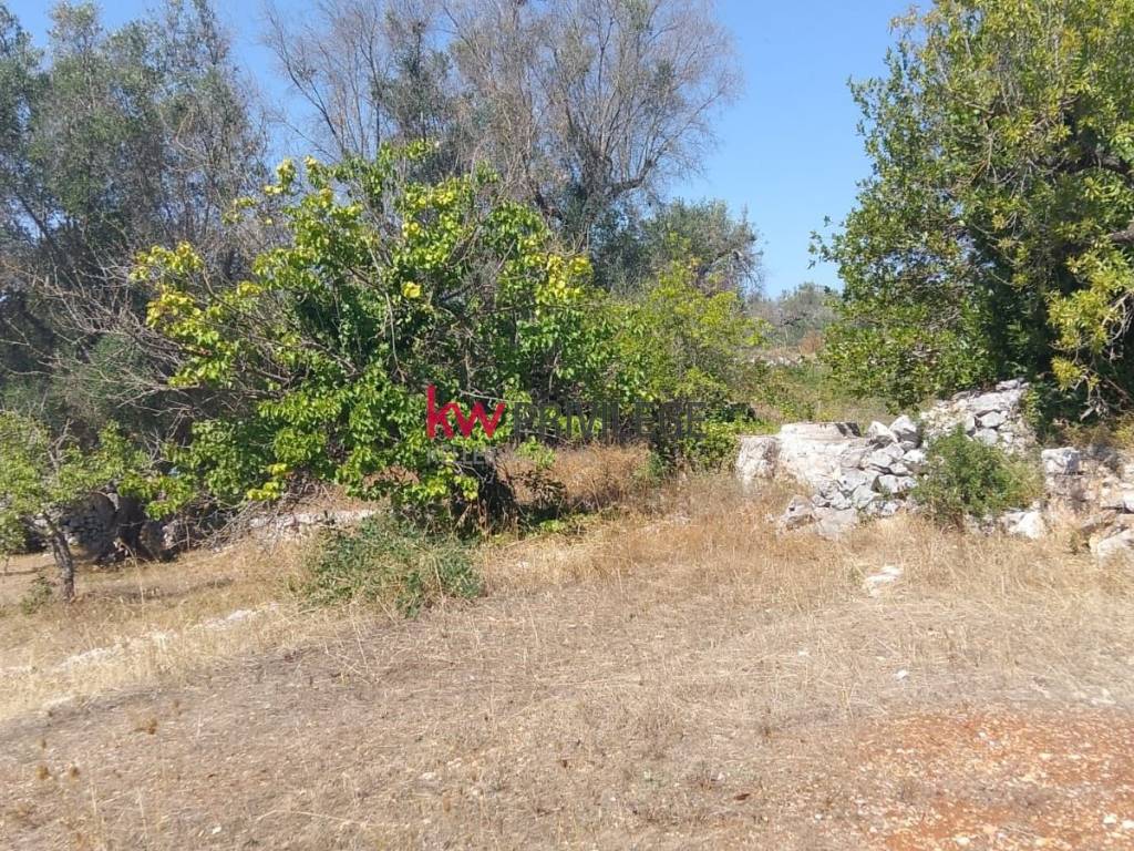 Rustico / casale a Ceglie messapica in contrada Genovese, 7 - Foto 4