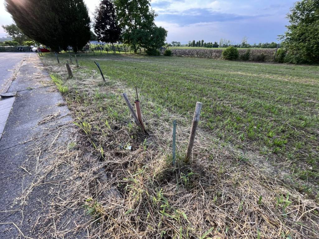 Terreno a Veggiano in Via San Antonio - Foto 3