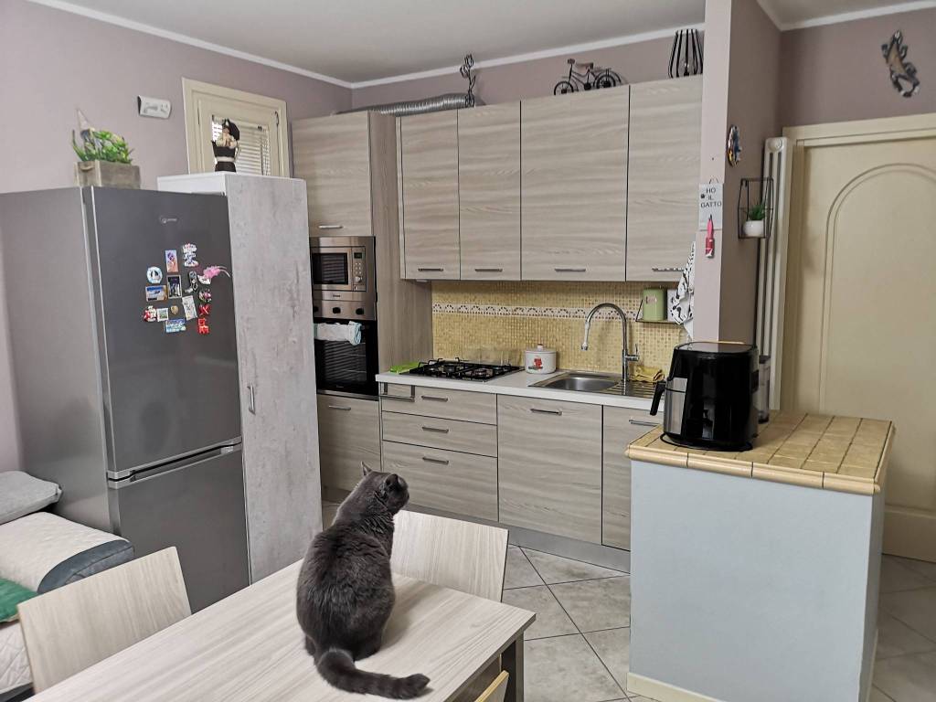Appartamento a Sissa trecasali - Foto 2