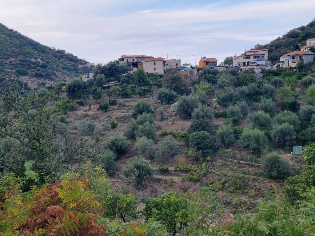 Terreno a Gioiosa marea in Contrada San Nicolò Vecchio - Foto 2