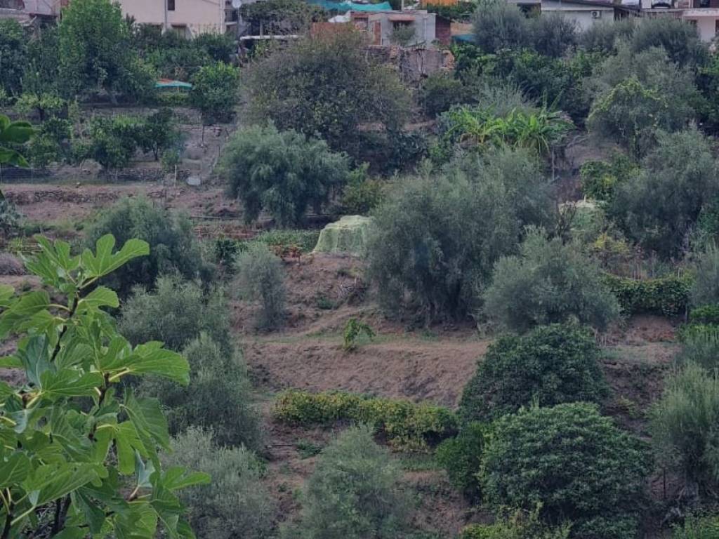 Terreno a Gioiosa marea in Contrada San Nicolò Vecchio - Foto 3