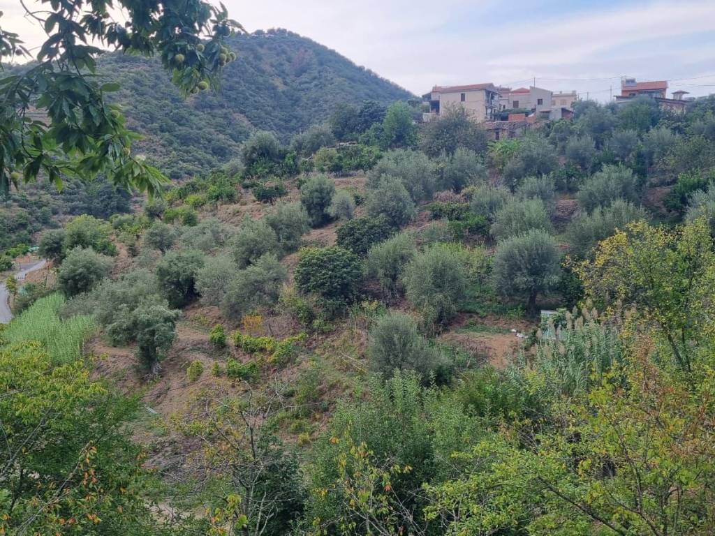 Terreno a Gioiosa marea in Contrada San Nicolò Vecchio - Foto 4