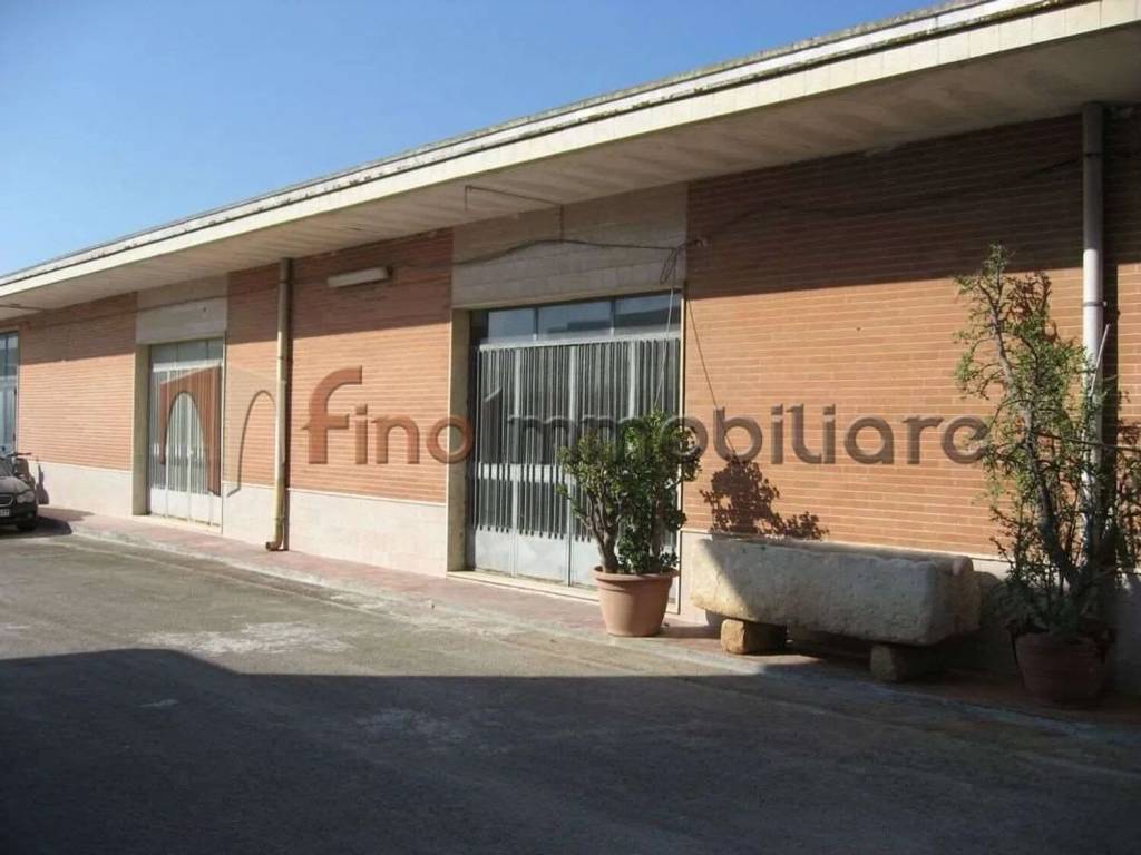 Immobile a Torchiarolo in Via Salvo D'Acquisto S.N.C. - Foto 4