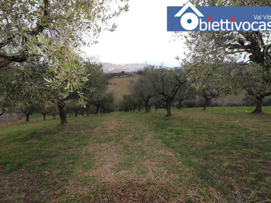 Terreno a Mosciano sant'angelo in Contrada Colle Cerreto - Foto 2