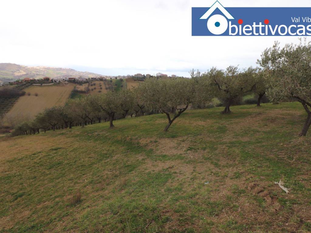 Terreno a Mosciano sant'angelo in Contrada Colle Cerreto - Foto 3