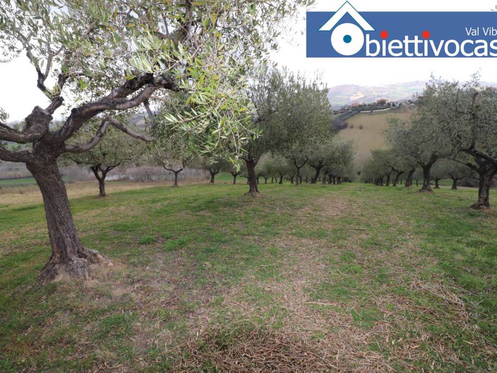 Terreno a Mosciano sant'angelo in Contrada Colle Cerreto - Foto 4