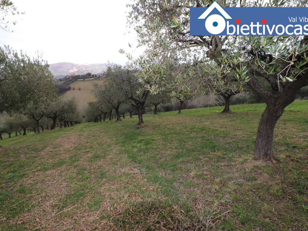 Terreno a Mosciano sant'angelo in Contrada Colle Cerreto - Foto 5