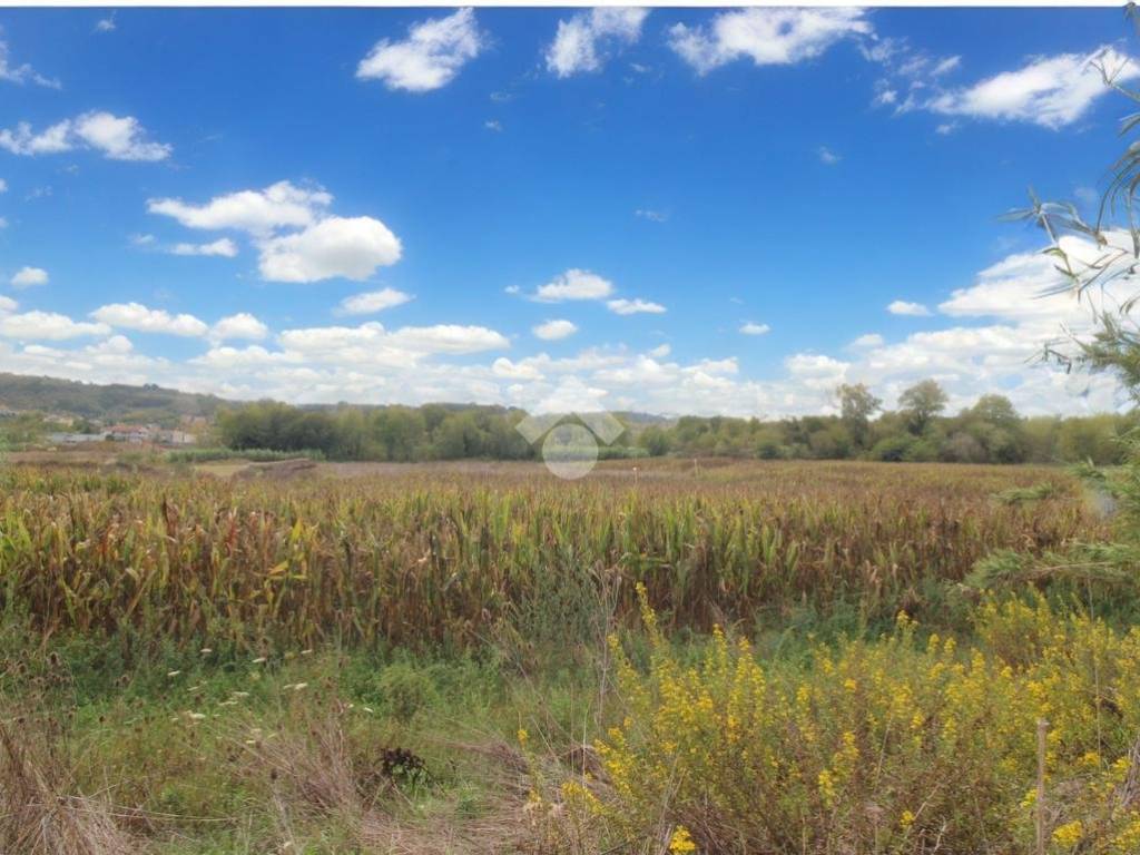 Terreno a Collecorvino in via congiunti - Foto 2