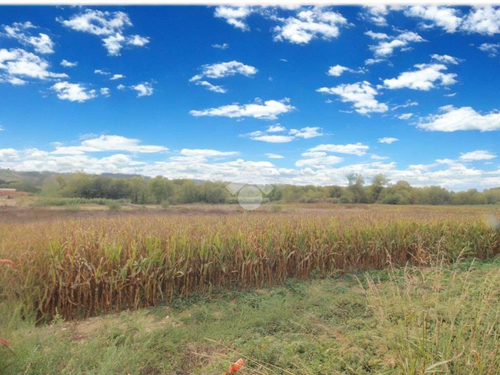 Terreno a Collecorvino in via congiunti - Foto 4