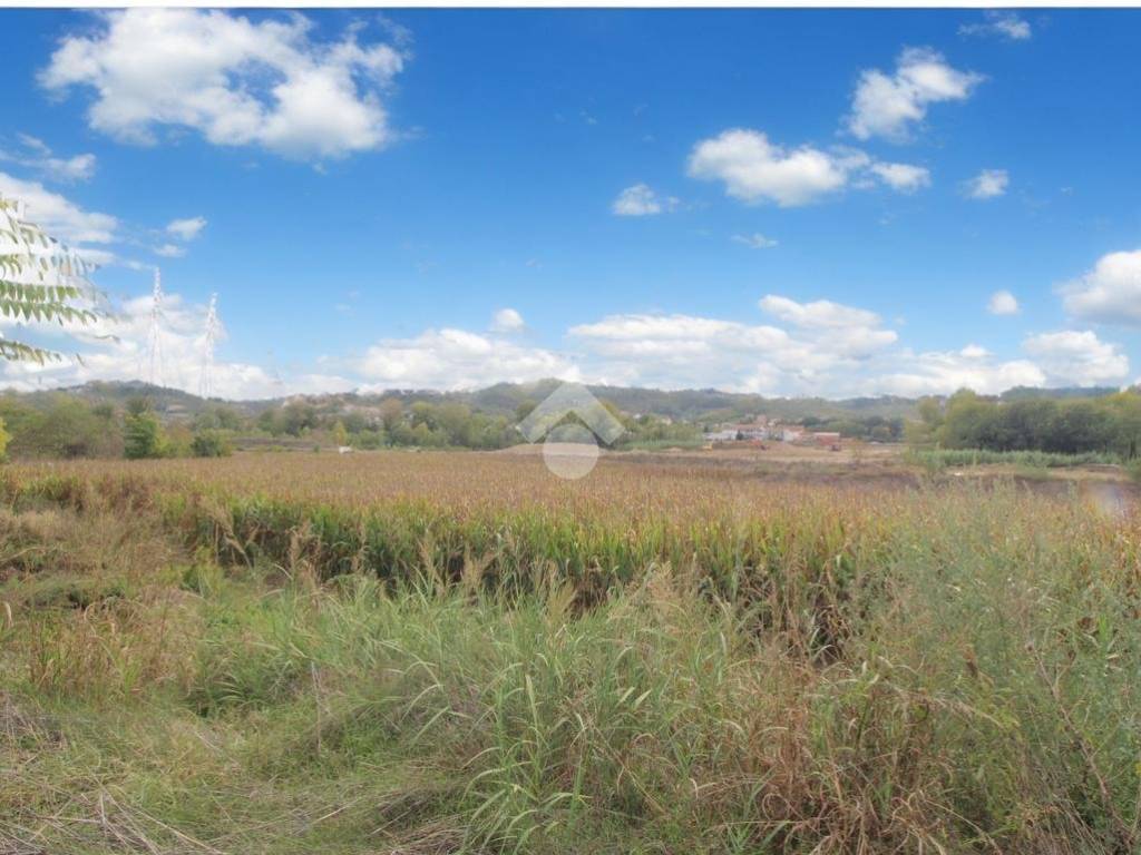 Terreno a Collecorvino in via congiunti - Foto 5