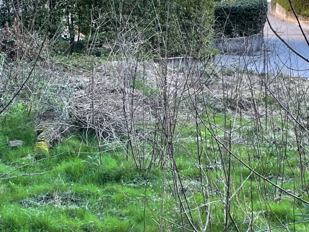 Terreno a Cannobio in Casali Cuserina, 7 - Foto 5