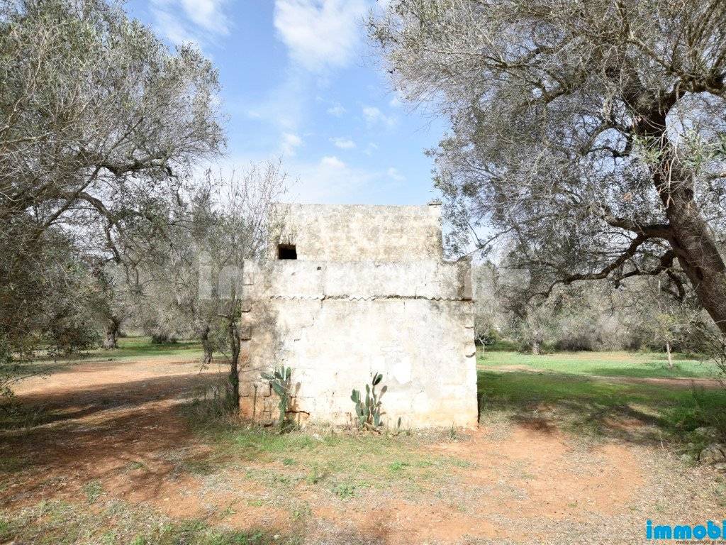 Rustico / casale a Oria - Foto 5