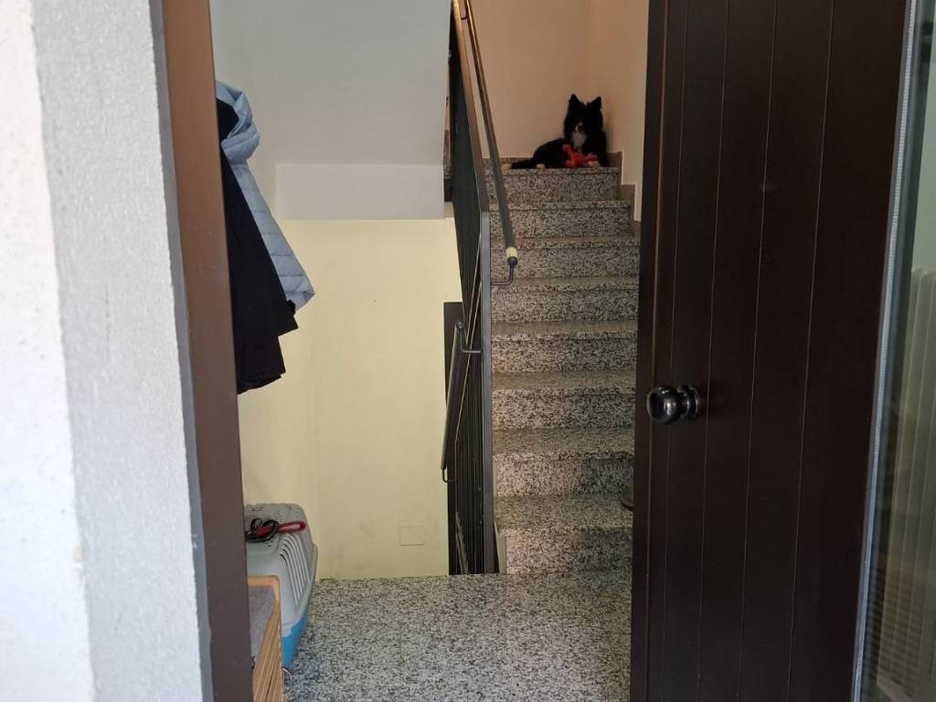Appartamento a Castel bolognese in Via Emilia Levante - Foto 3