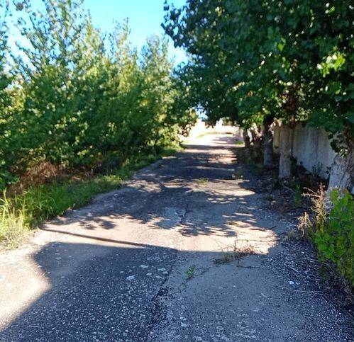 Terreno a Torchiarolo - Foto 5