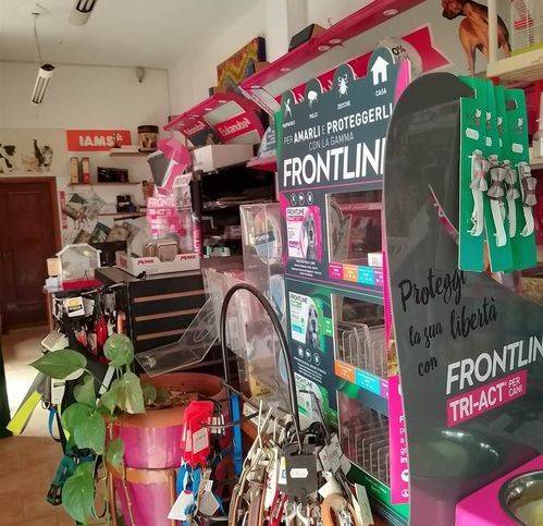 Immobile a Mesagne - Foto 2