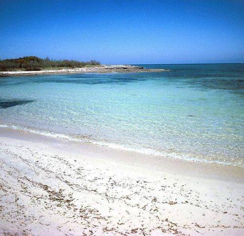 Villa a Carovigno - Foto 3