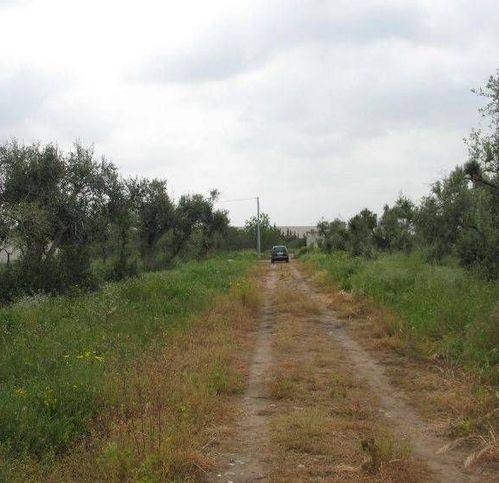 Rustico / casale a San pietro vernotico - Foto 2