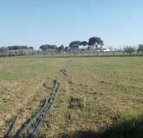 Villa a Brindisi - Foto 2