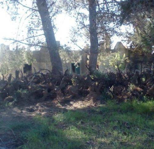 Villa a Brindisi - Foto 4