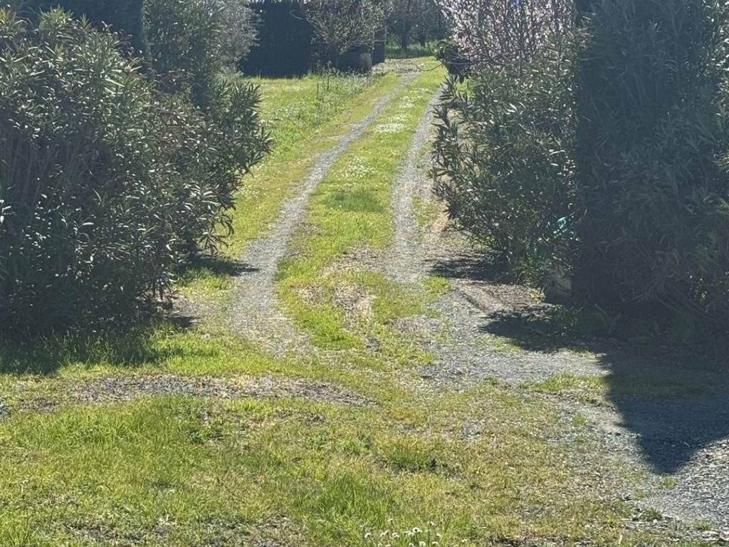 Terreno a Bibbona in via della steccaia - Foto 3
