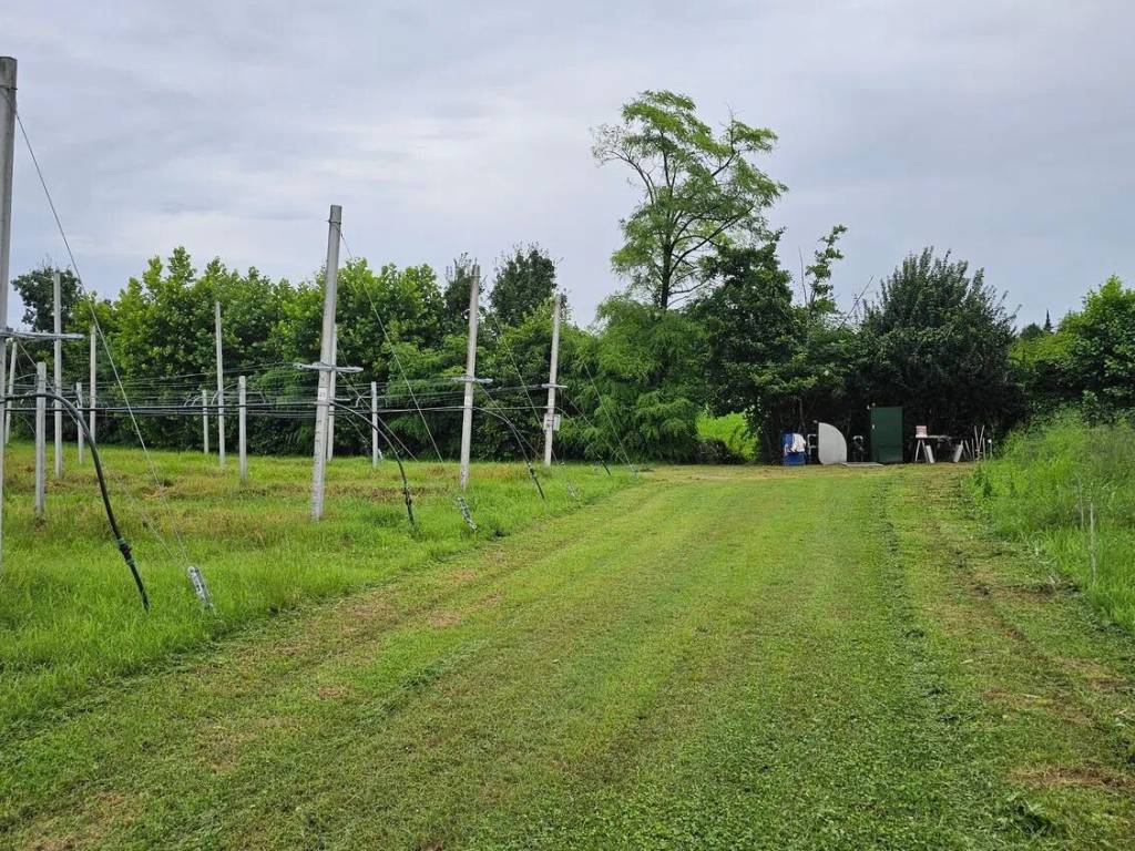 Terreno a Carbonera in Via Ospedale Provinciale S.N.C. - Foto 3