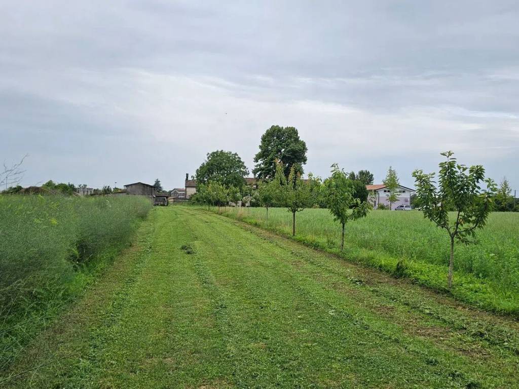 Terreno a Carbonera in Via Ospedale Provinciale S.N.C. - Foto 4