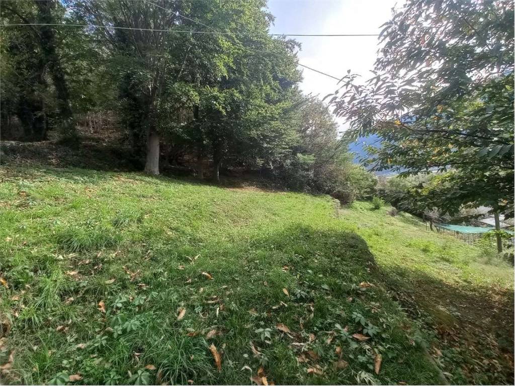 Terreno a Vogogna - Foto 2