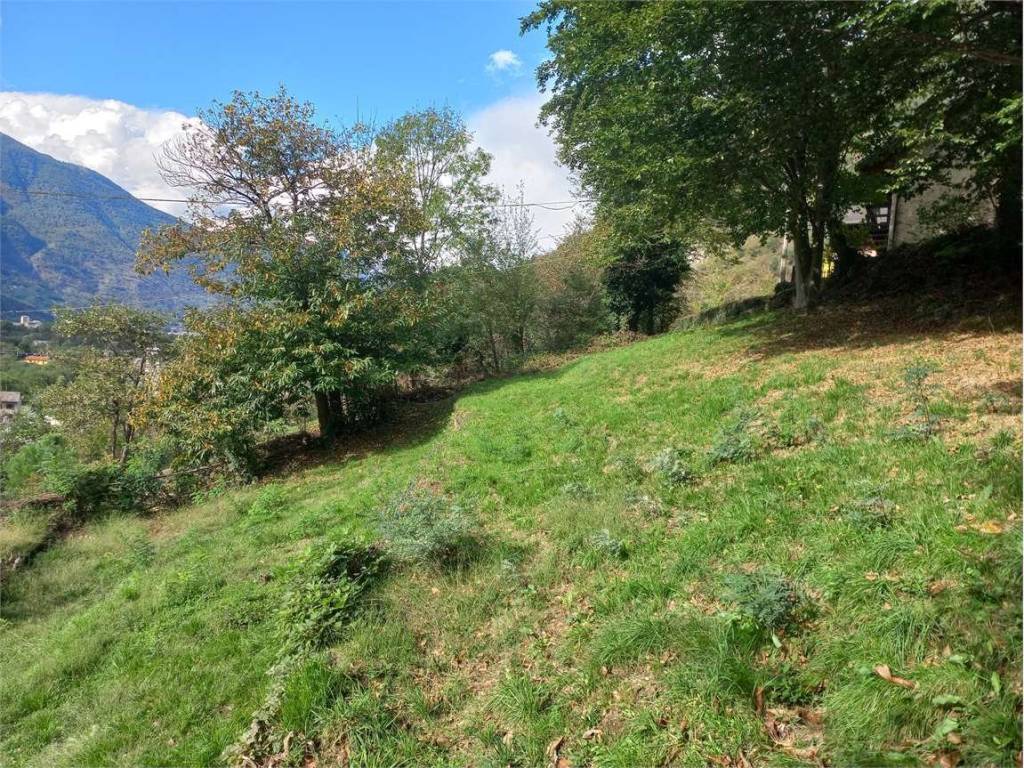 Terreno a Vogogna - Foto 4