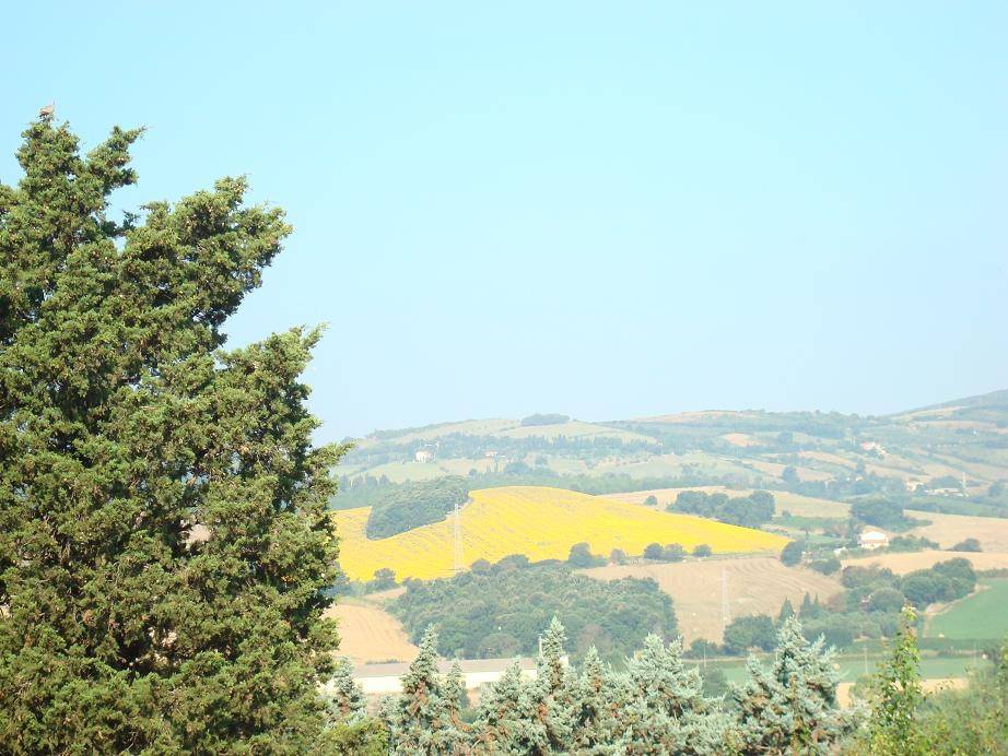 Rustico / casale a Rosignano marittimo - Foto 3