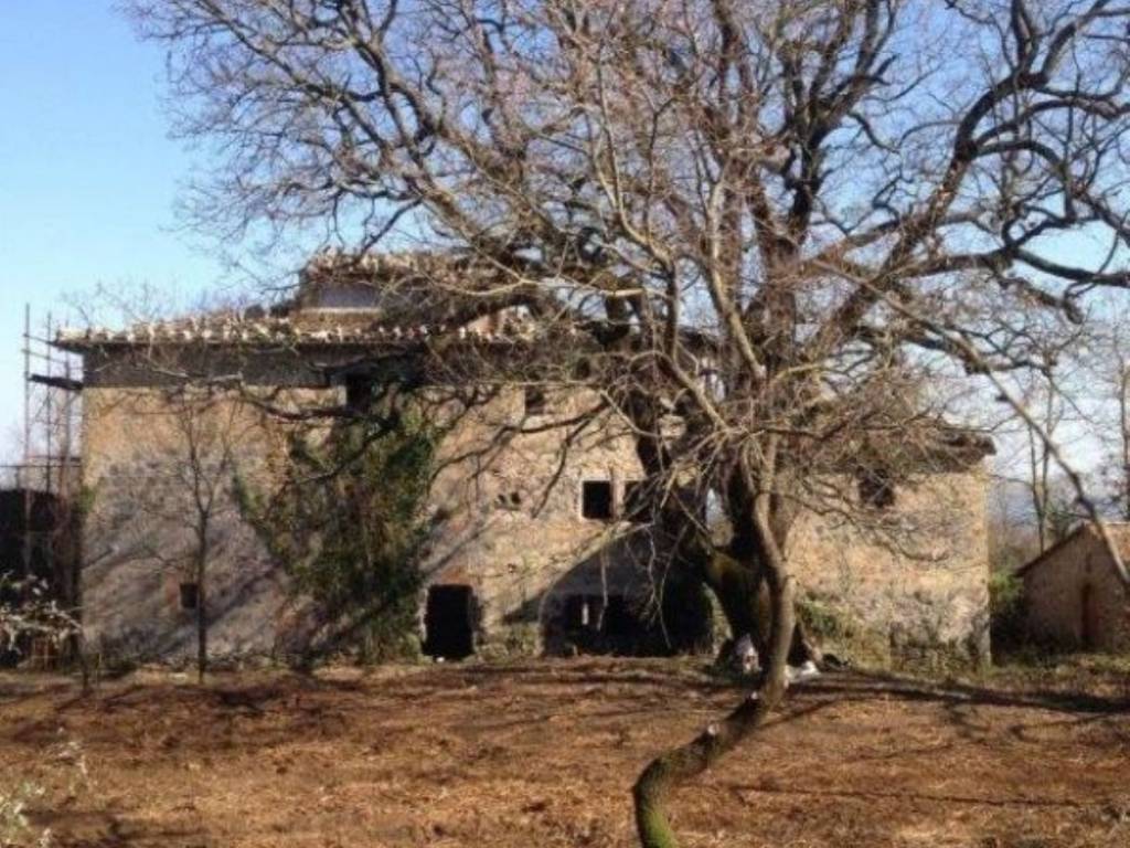 Rustico / casale a Bagnoregio - Foto 3