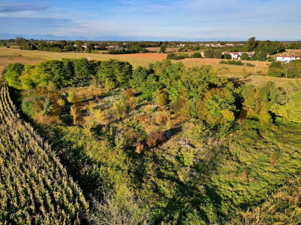 Terreno a Teglio veneto in Via Cordovado - Foto 2