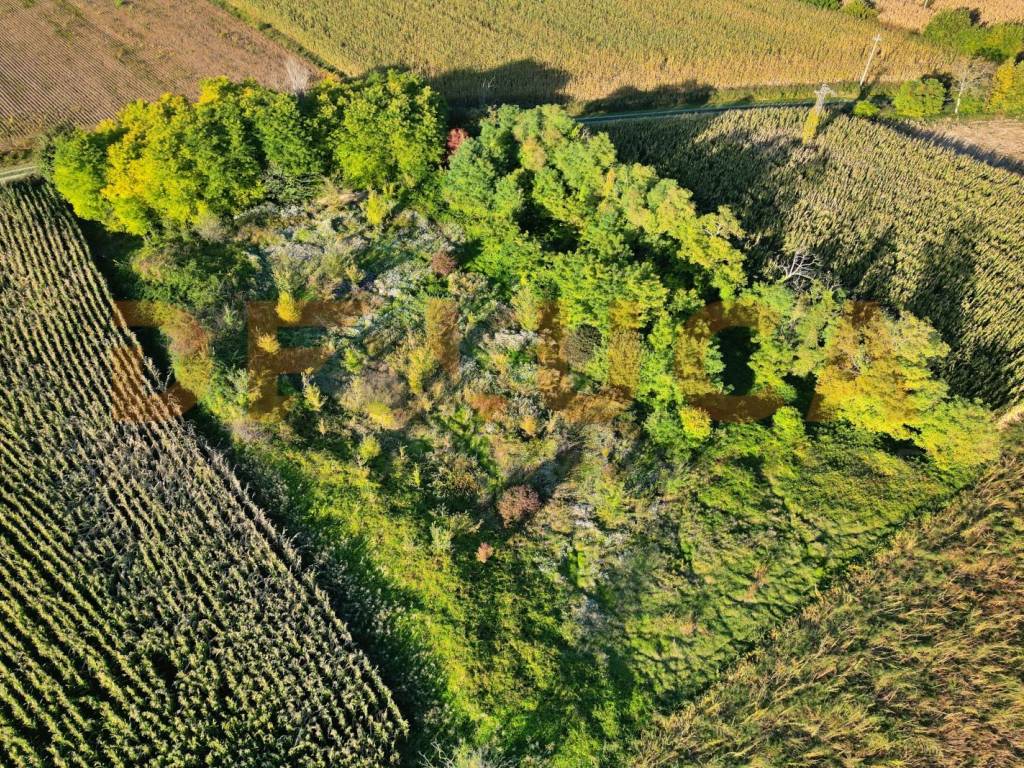 Terreno a Teglio veneto in Via Cordovado - Foto 3