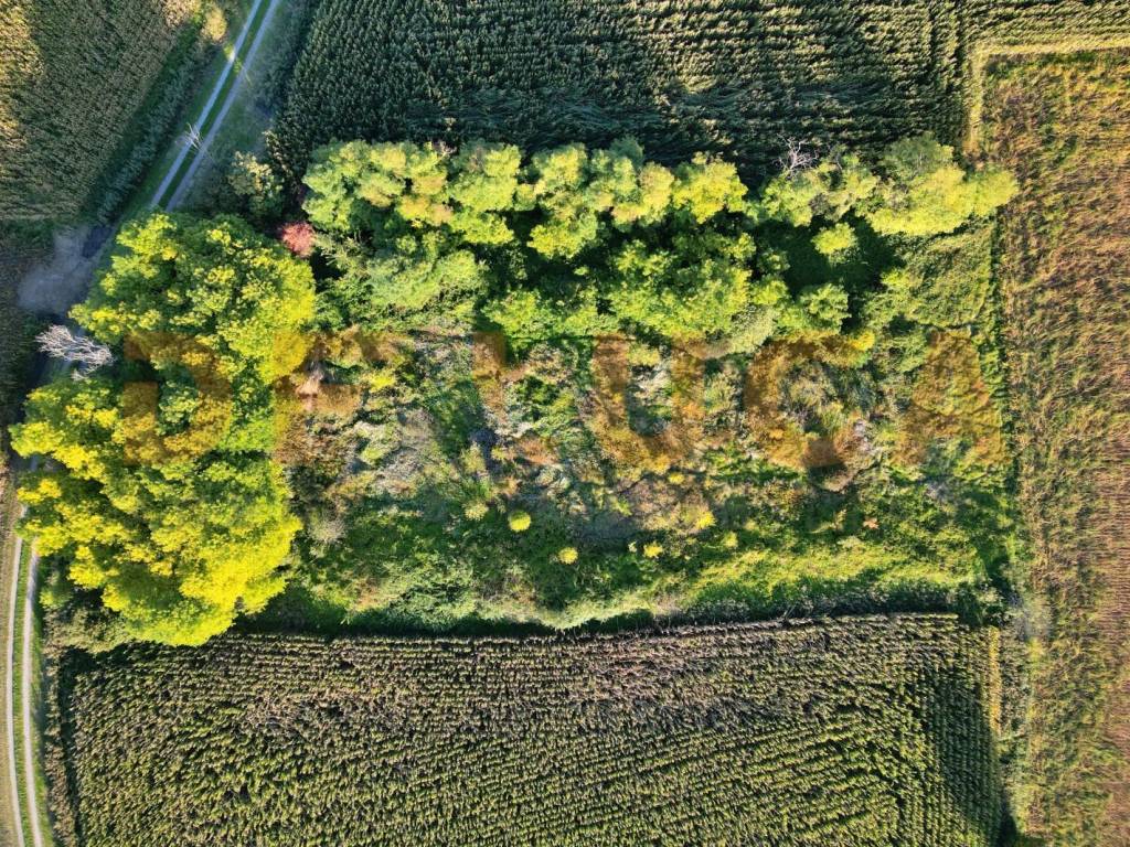 Terreno a Teglio veneto in Via Cordovado - Foto 4