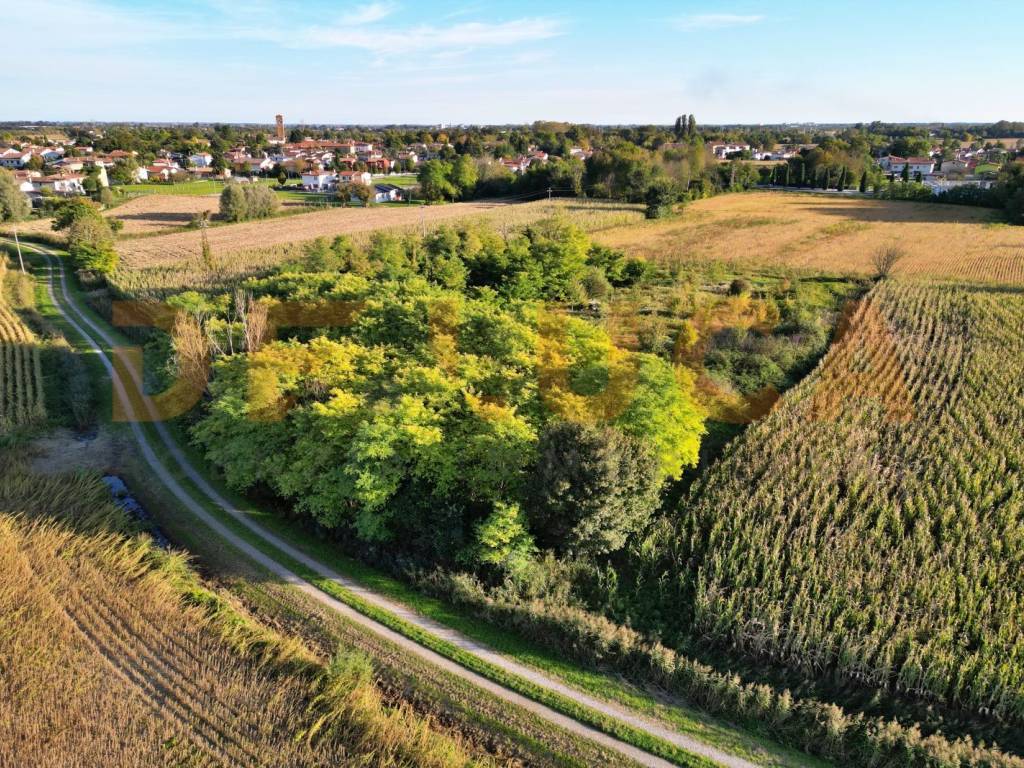 Terreno a Teglio veneto in Via Cordovado - Foto 5