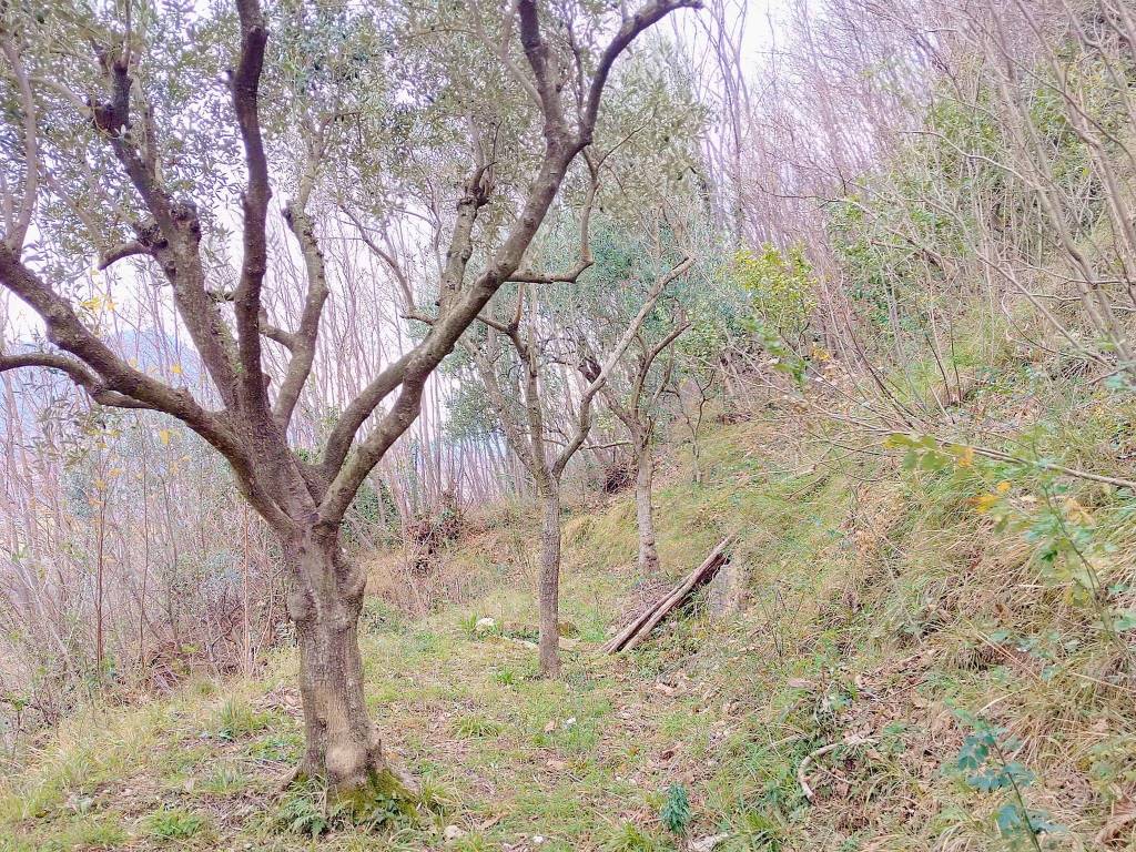 Immobile a Cava de' tirreni in Via Basilio Lamberti - Foto 5