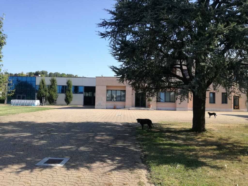 Immobile a Carpenedolo in Via Achille Pozzi - Foto 3