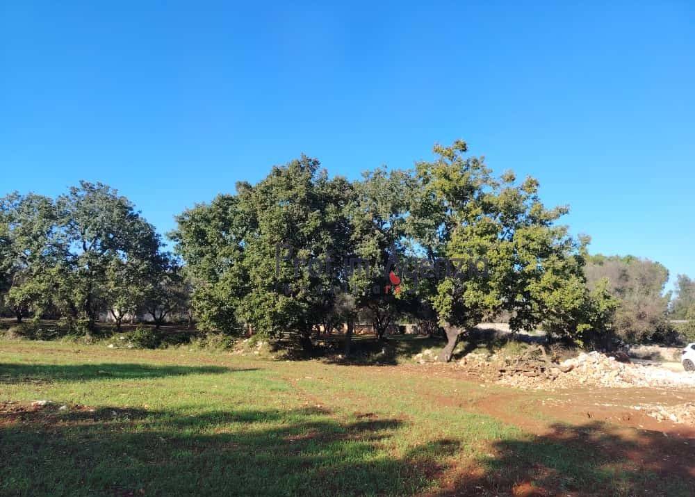 Terreno a Ostuni - Foto 3